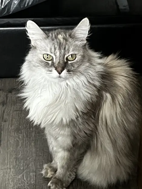 Photo of Sophie