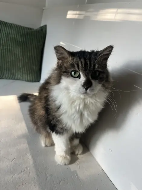 Photo of Margo