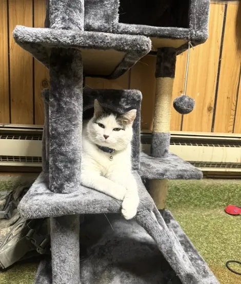 Photo of Magnolia (Mags)