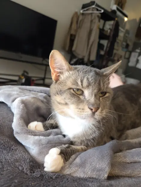 Photo of Leonard