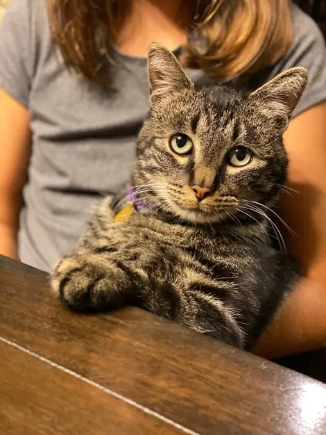 Photo of Charlie