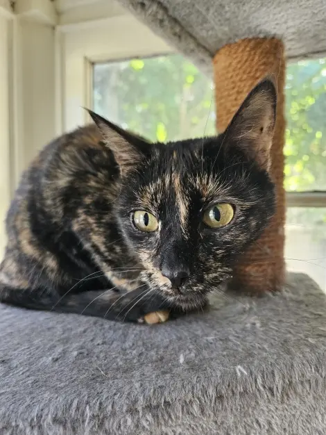 Photo of Jewels