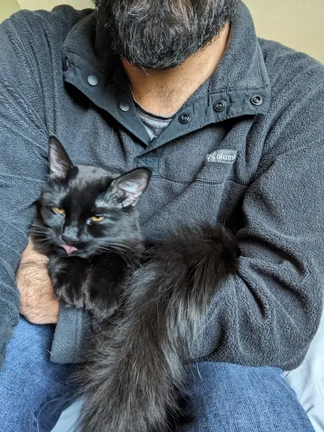 Photo of Taz