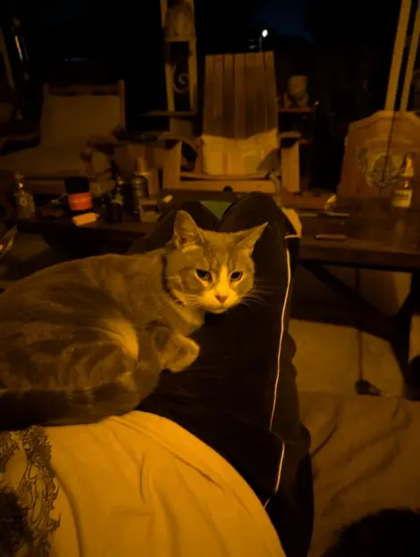 Photo of Smidge 