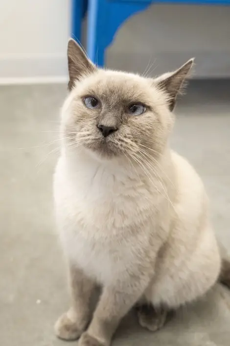 Photo of Penelope