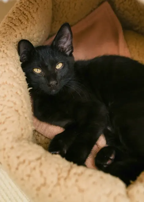 Photo of Rubi