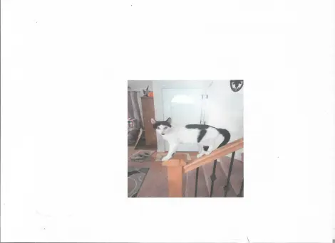 Photo of MILKDUD