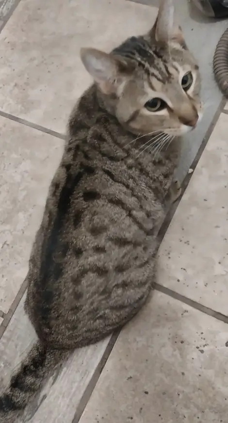 Photo of Ben (Baby Ben)