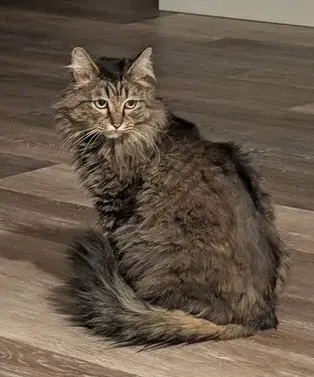 Photo of Stormi