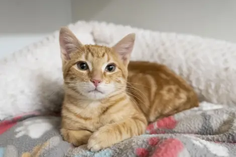 Photo of Sunnie