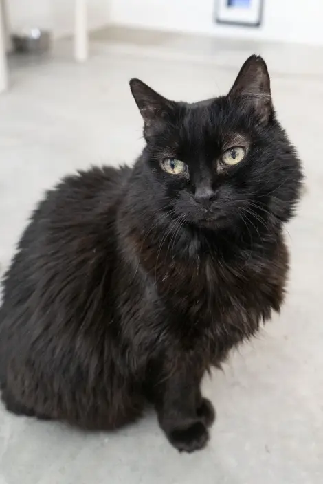 Photo of Sunnie