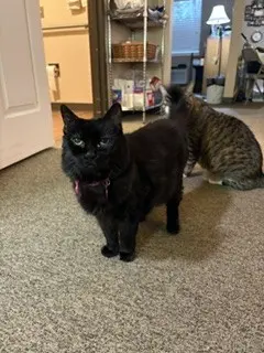 Photo of Sunny