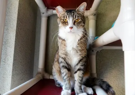 Photo of Thomas