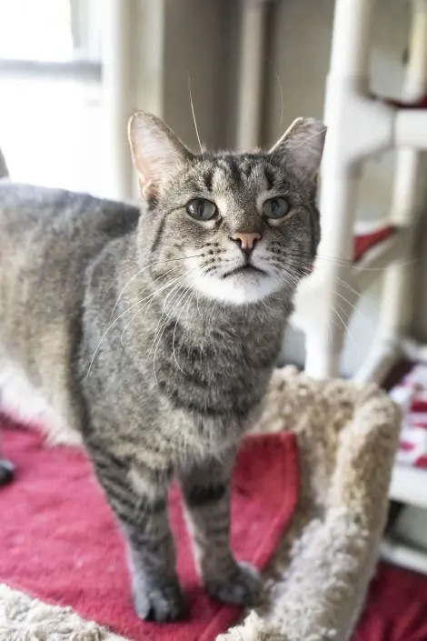 Photo of Timmy