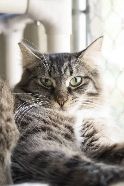 Photo of Tuffy