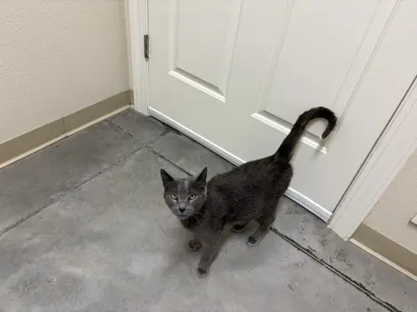 Photo of Twirly