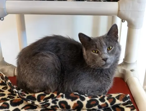 Photo of Twirly