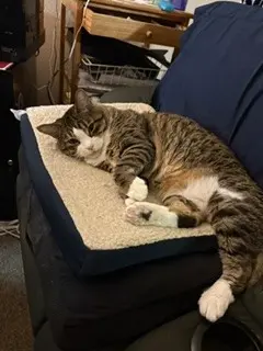 Photo of Twix