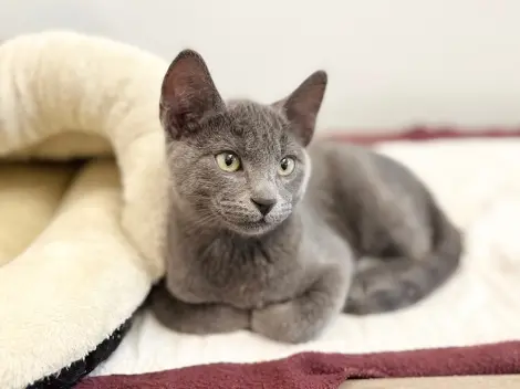 Photo of Vinni