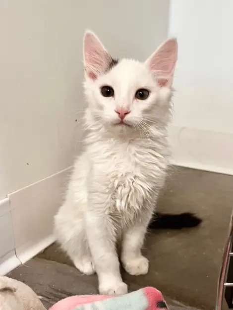 Photo of Zip