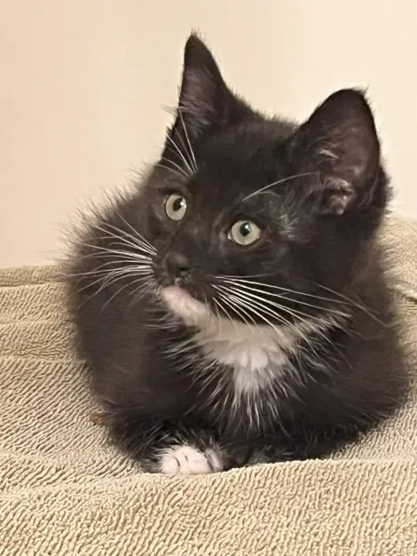 Photo of Jack