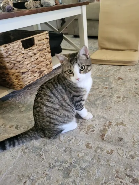 Photo of Timmy