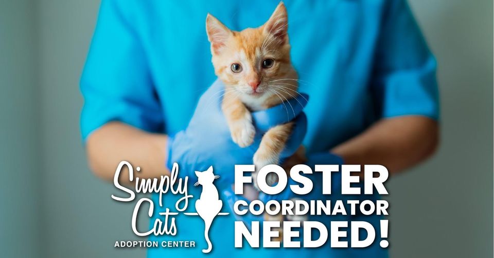 simply cats adoption center