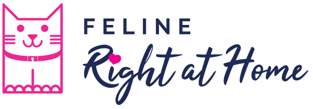 Feline Right at Home