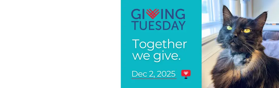 Giving Tuesday