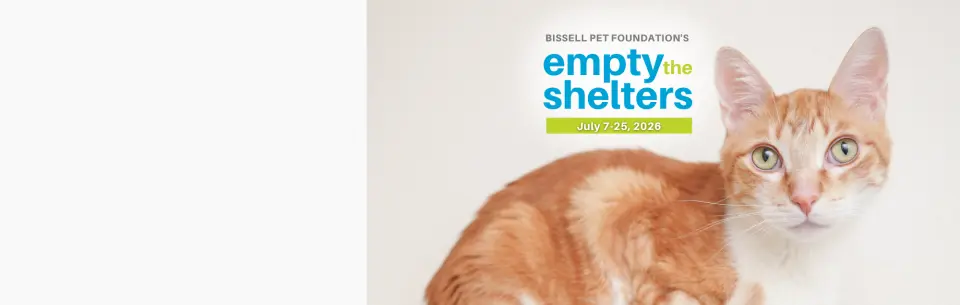Empty the Shelters Reduced Fee Adoption Event