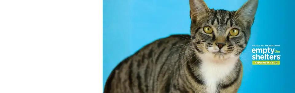 Empty the Shelters Reduced Fee Adoption Event